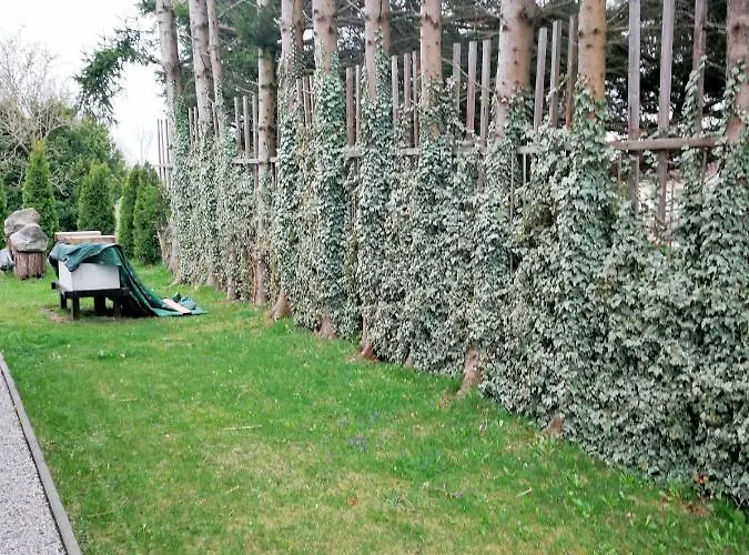 Naehe Starnberger See, Schoene Ferienwohnung, Gaestewohnung 125qm Eg Und Og Kontaktfrei アパート Münsing